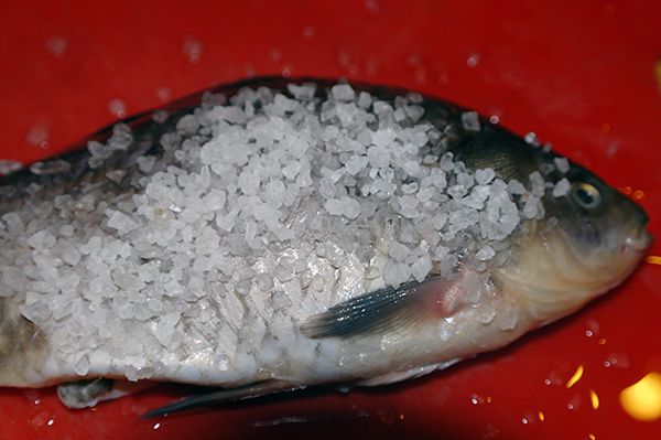 Рассчитываем количество соли для рыбы