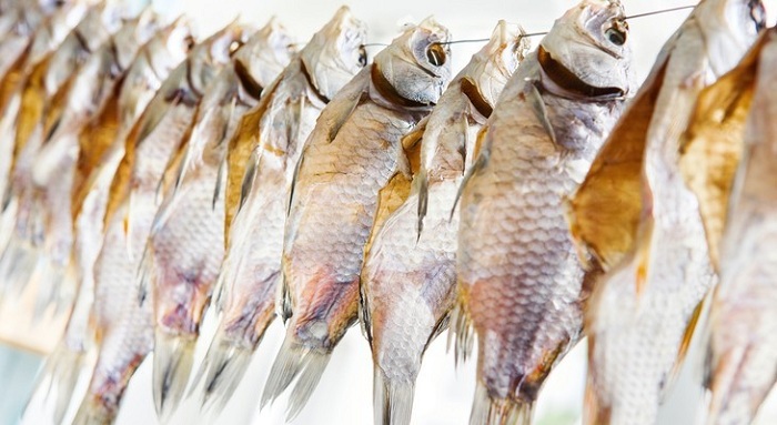 Хранение сушеной рыбы в домашних условиях