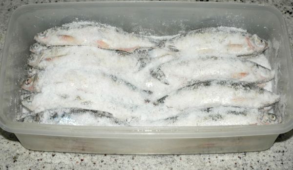 Как засолить красную рыбу дома или нерка в тузлуке