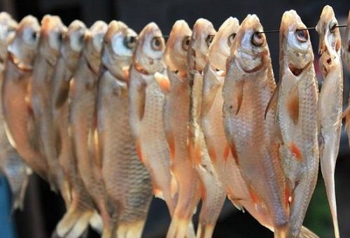 Можно ли сушить рыбу без чешуи?